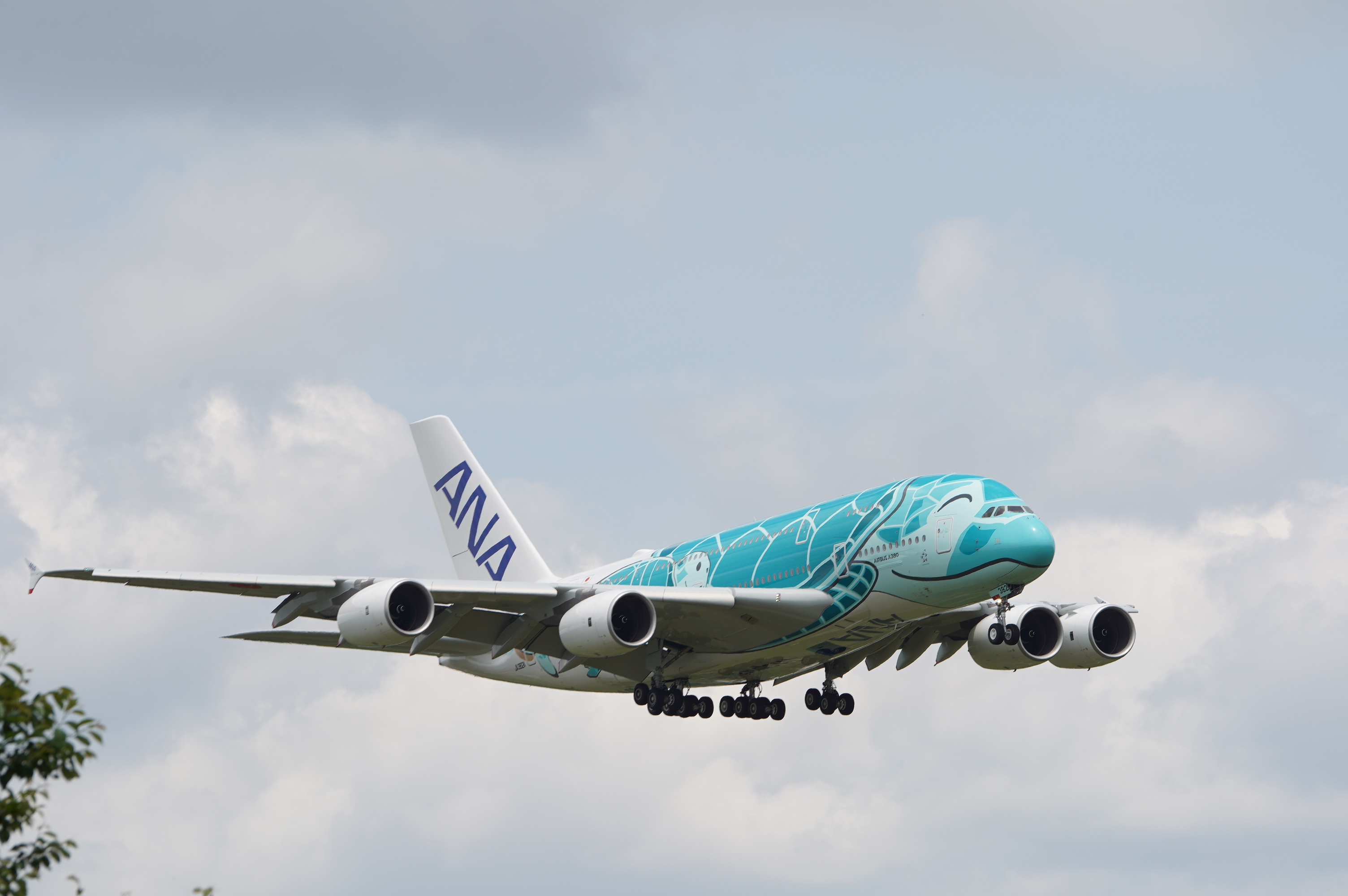 2019 5 17 18 航空の動き Ana A380 フライングホヌ 2機目到着 1機目羽田や新千歳に立ち寄りetc